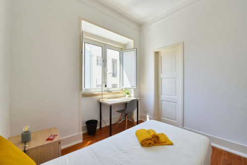 Rua de David Lopes - Gallery - 11