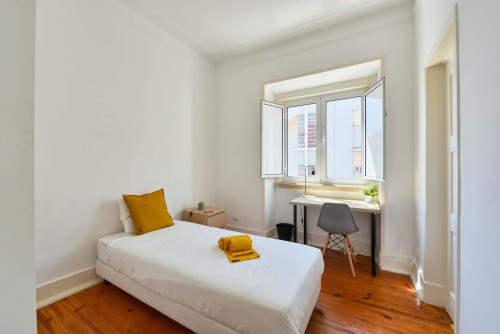 Rua de David Lopes - Gallery - 18