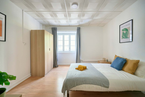Rua Alexandre Herculano - Gallery - 26