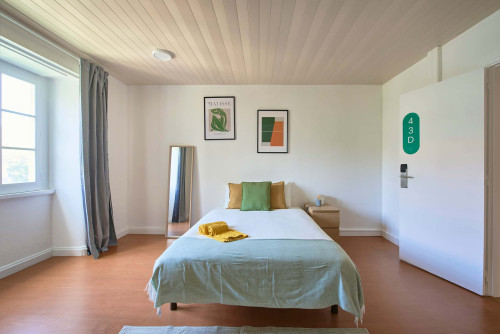 Rua Alexandre Herculano - Gallery - 20