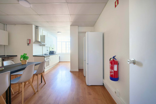 Rua Alexandre Herculano - Gallery - 15