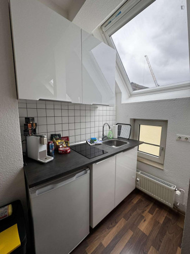 Homely 1-bedroom apartment in the Innenstadt III district