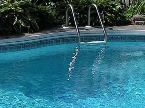 Pool, Pups, Comfy Queen, Strip 4 mi - Gallery - 10