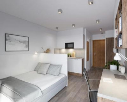 Comfy studio in Innere Neustadt - Gallery - 81