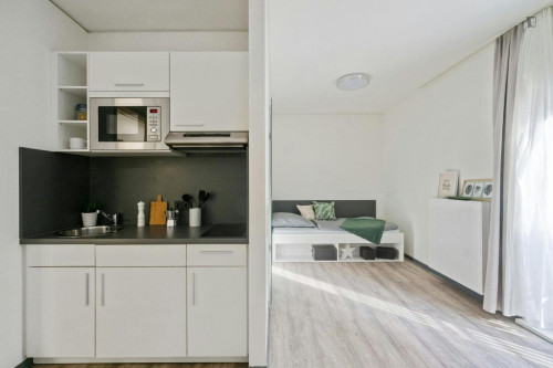 Comfy studio in Innere Neustadt - Gallery - 79
