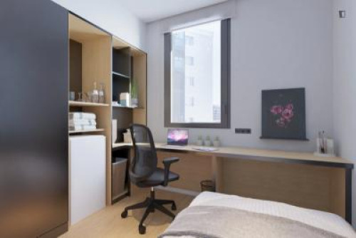 Comfy studio in Innere Neustadt - Rooms