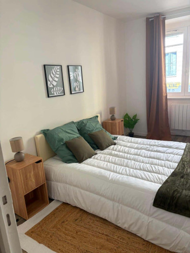Apartment in Rue Charles de Gaulle, Saint-Étienne for 45 m² with 1 bedroom - Gallery - 7