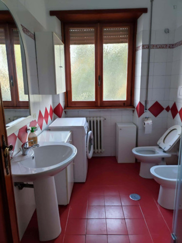 Room in Via Borghesiana, Roma with 3 bedrooms - Gallery - 5