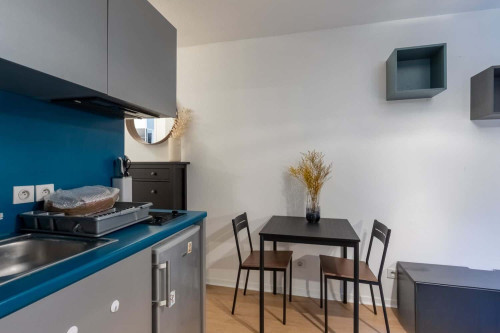 Apartment in Grande Rue de Saint Clair, Caluire-et-Cuire for 20 m² - Gallery - 5