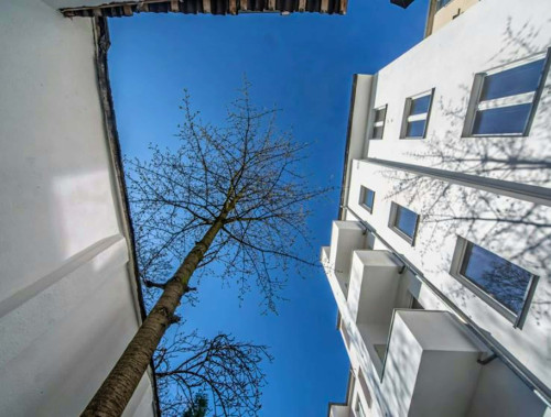 Sonnenstraße - Gallery - 12