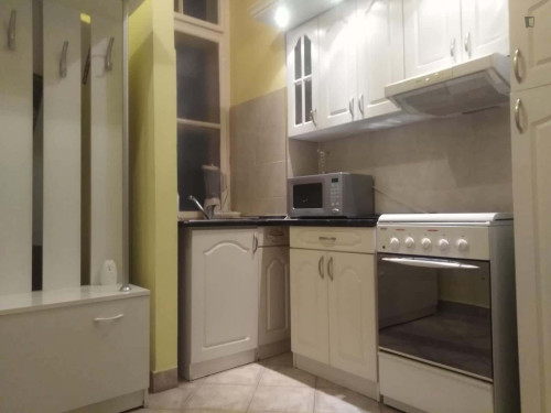 Apartment in Andrássy út, Budapest for 57 m² with 1 bedroom