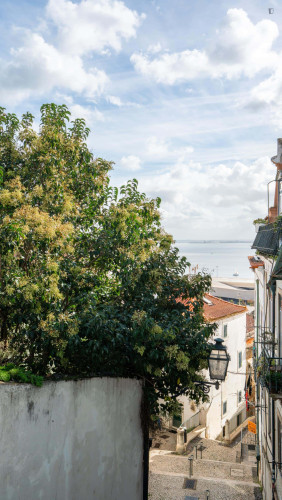 Cozy studio apartment right at the centre of historical Lisbon (Baixa 1.)