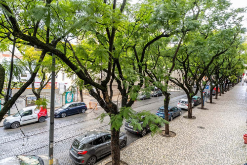 apartment T2 ocated in Principe Real - Gallery - 6