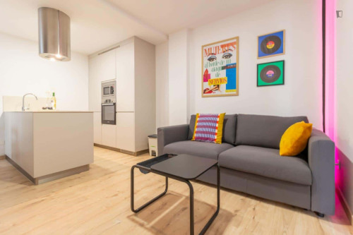 Apartment for 47 m² with 1 bedroom