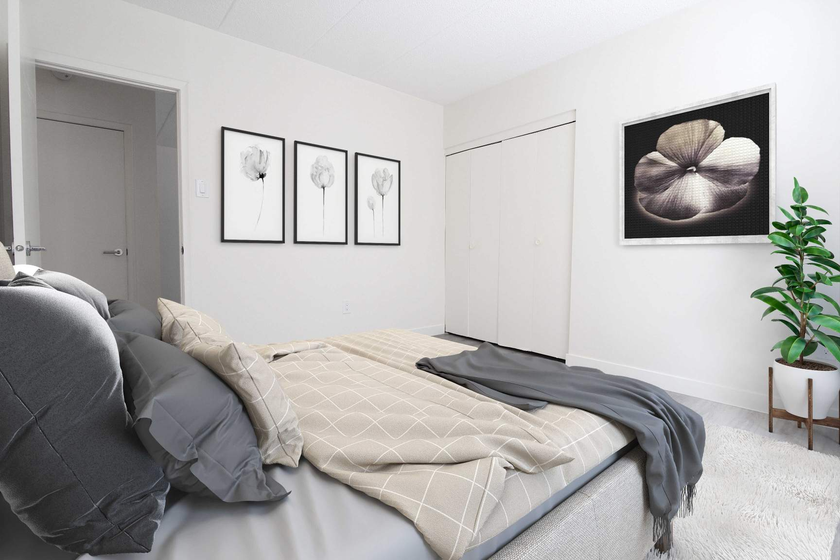 1 Bedroom - 1