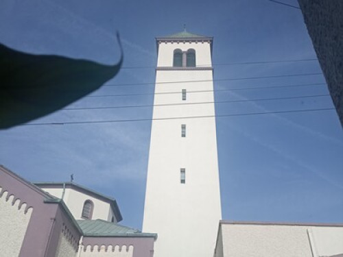 Salthill Stay 