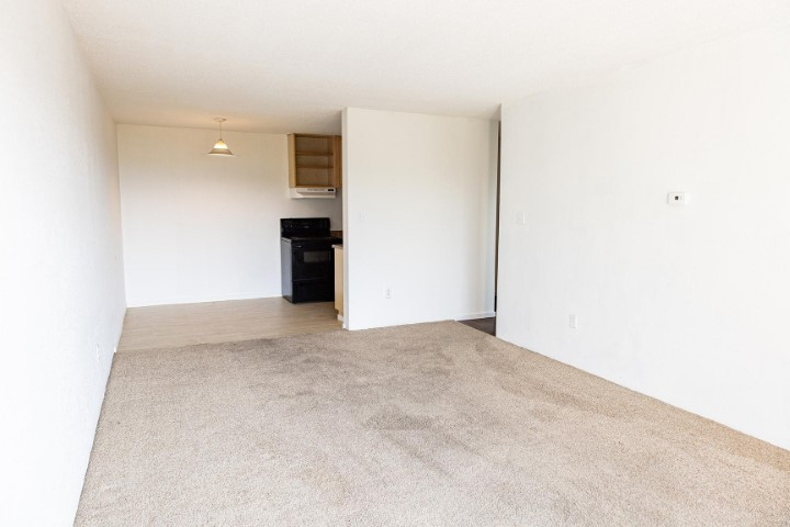 1 Bedroom - 5