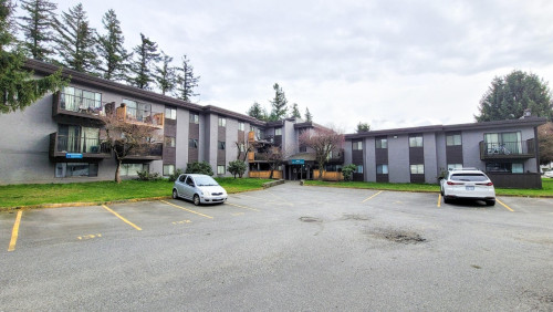 Pinetree Apartments - Gallery - 10