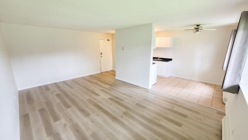 Pinetree Apartments - Gallery - 15