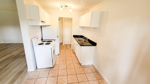 Pinetree Apartments - Gallery - 11