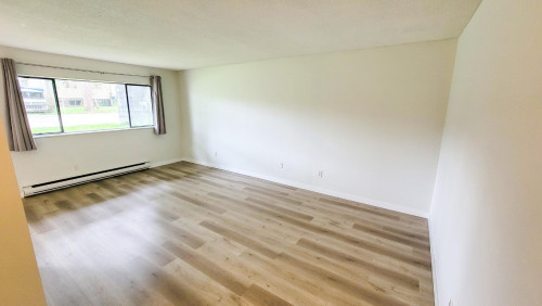Pinetree Apartments - Gallery - 13