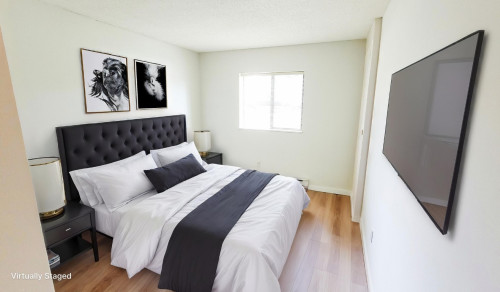 Pinetree Apartments - Rooms