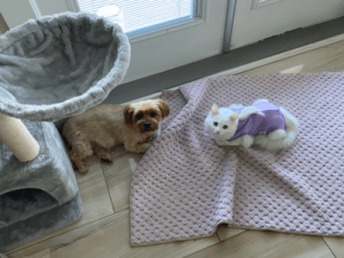 90409b5c6ee47ee0230e02382158446e.jpg