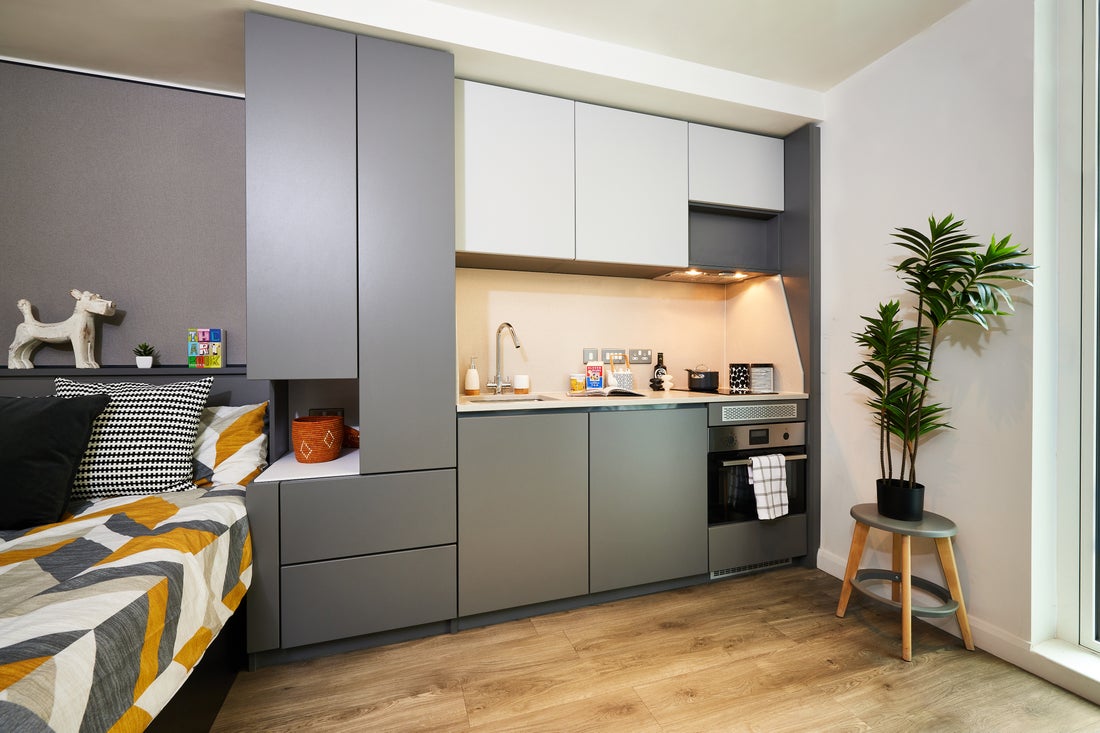  Premium Studio  -  Strawberry Place  - Gallery -  4