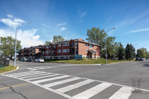 Airdrie Meadows