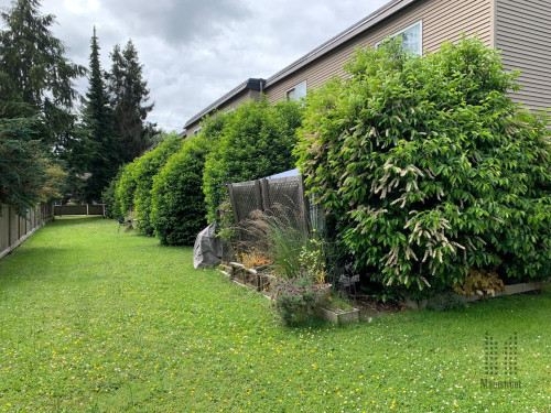 Mainstreet Garden Townhomes