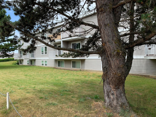 Courtenay Riverway - Gallery - 7
