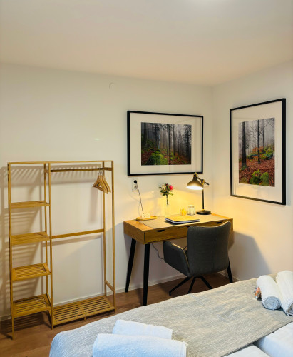 Entire Apartment, Jacuzzi, Terrace, 55' TV, Kitchen, Rain Shower - Gallery - 16