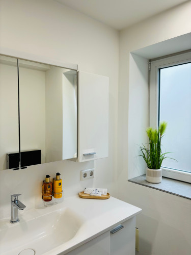 Entire Apartment, Jacuzzi, Terrace, 55' TV, Kitchen, Rain Shower