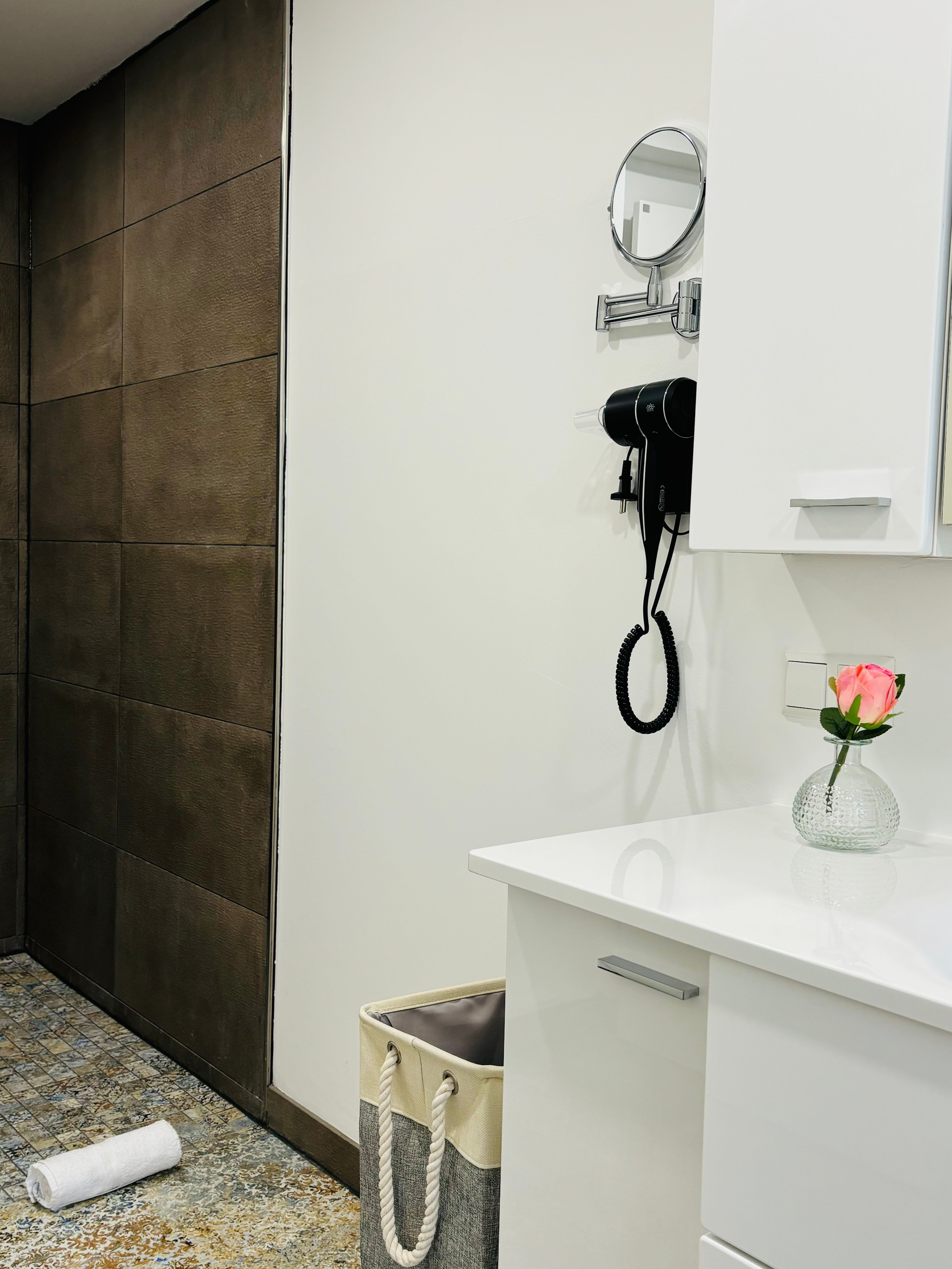 Entire Apartment, Jacuzzi, Terrace, 55' TV, Kitchen, Rain Shower - 20