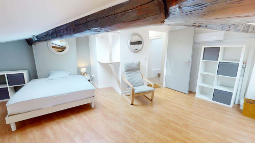 Room in Rue Saint-Vincent de Paul, Clermont-Ferrand for 130 m² with 5 bedrooms