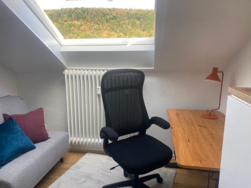 2-room apartment, new flatshare, renovated, fully furnished, HD- Rohrbach - Rooms