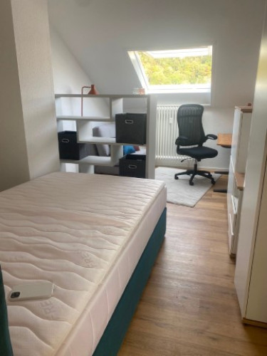 2-room apartment, new flatshare, renovated, fully furnished, HD- Rohrbach - Gallery - 13