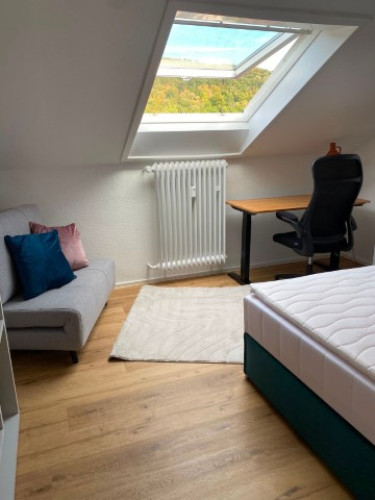 2-room apartment, new flatshare, renovated, fully furnished, HD- Rohrbach - Gallery - 12