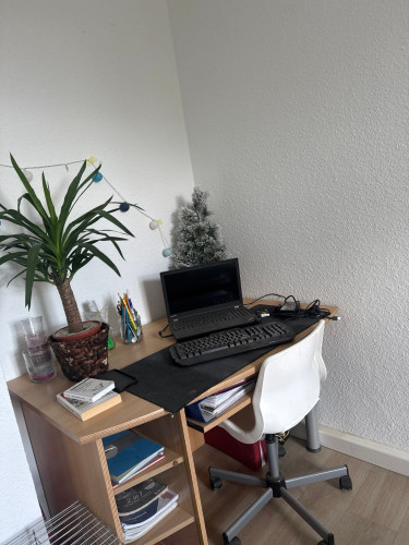 New & fashionable apartment in Radeberg