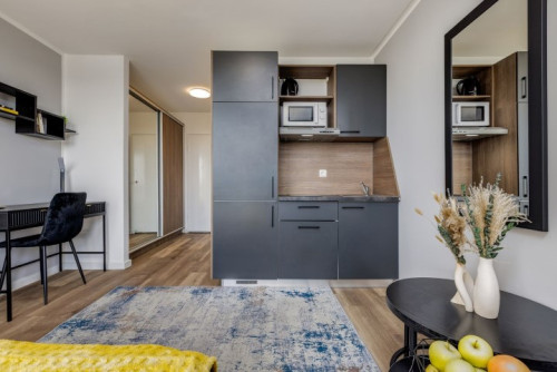 Studio Apartment in Mainz ! - Gallery - 6