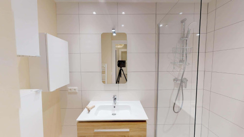 Room in Rue Domer, Lyon for 60 m² with 3 bedrooms - Gallery - 13