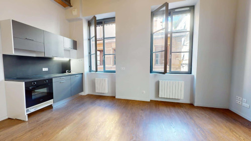 Apartment in Rue Marius Gonin, Lyon for 36 m² with 1 bedroom