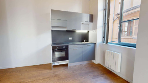Apartment in Rue Marius Gonin, Lyon for 36 m² with 1 bedroom - Gallery - 6