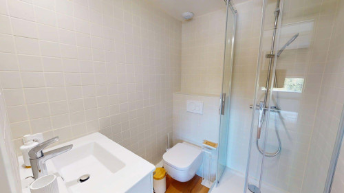 Room in Rue de Meyrin, Ferney-Voltaire for 91 m² with 4 bedrooms - Gallery - 16