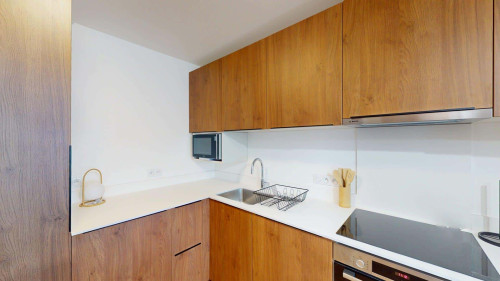 Room in Rue de Meyrin, Ferney-Voltaire for 91 m² with 4 bedrooms - Gallery - 9