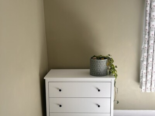 Cosy Home in Heavitree 