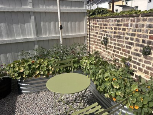 Cosy Home in Heavitree  - Gallery - 11