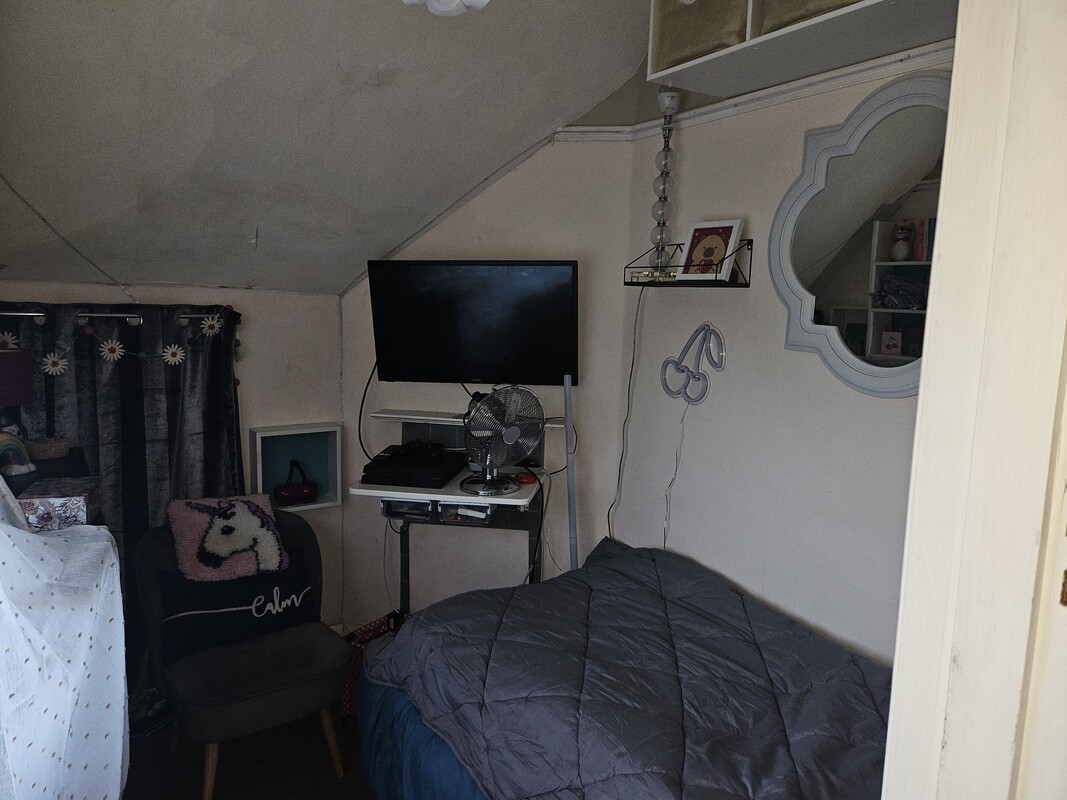 Small Single Room With Garden View(Full Room) - 1