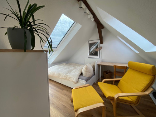 Small attic apartment in Jena