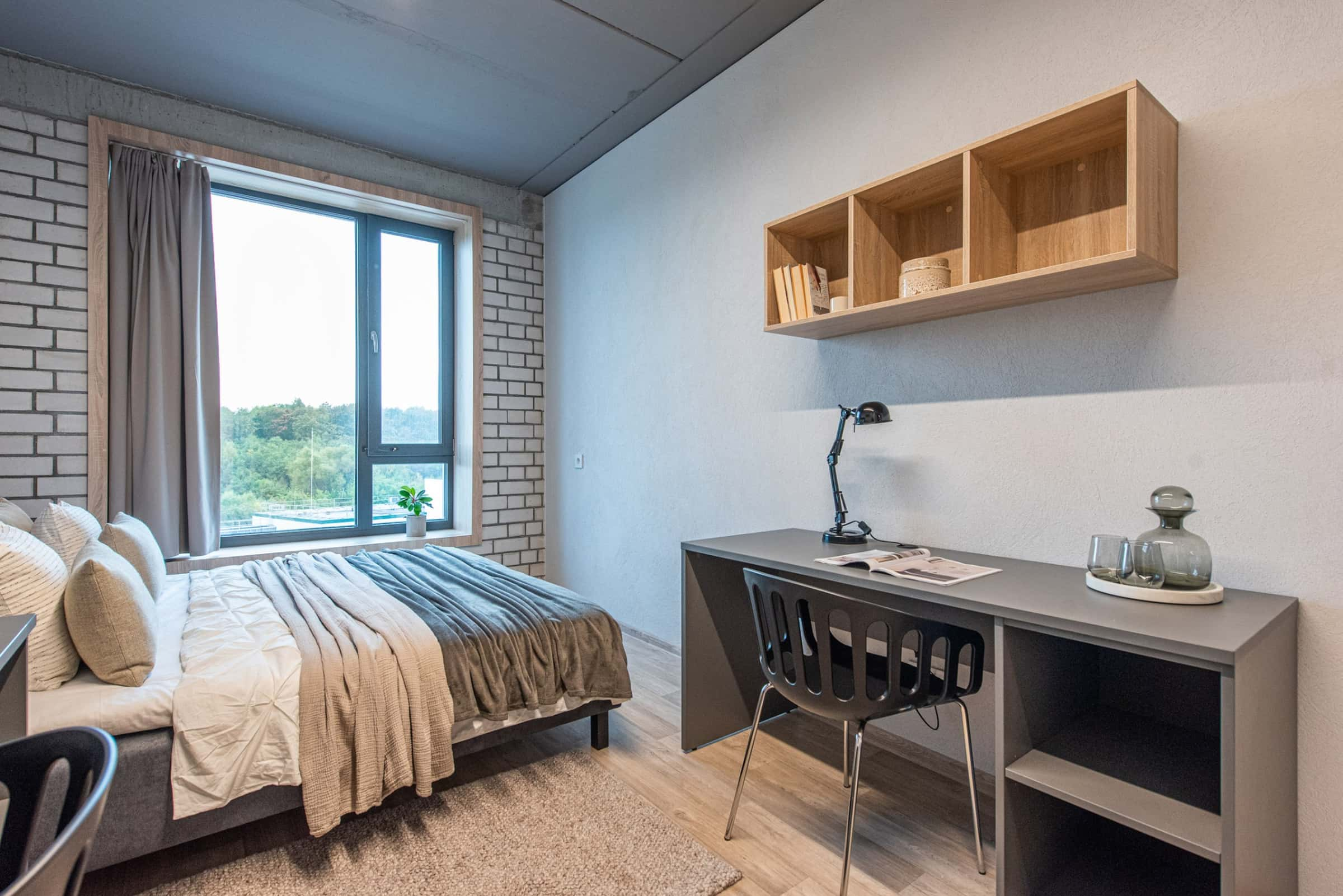 Comfort Studio (1 person) - Gallery - 8